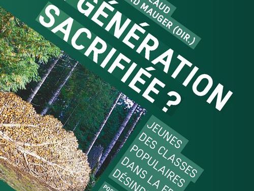 Une génération sacrifiée ? Jeunes des classes populaires dans la France désindustrialisée