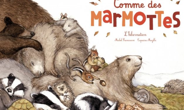 Comme des marmottes