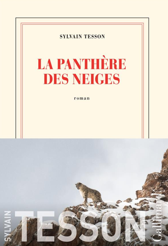 La panthère des neiges