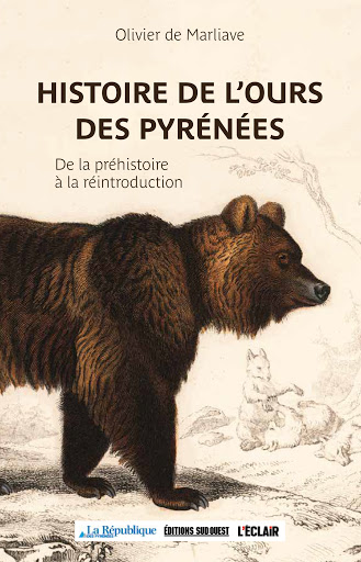 Histoire de l’ours des Pyrénées, De la préhistoire à la réintroduction