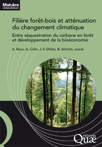Filière forêt-bois et atténuation du changement climatique – Entre séquestration du carbone en forêt et développement de la bioéconomie