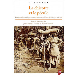 La chicotte et le pécule – Les travailleurs à l’épreuve du droit colonial français (XIXè-XXè siècles)