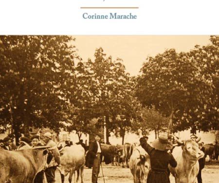 Les petites villes et le monde agricole – France XIXème siècle