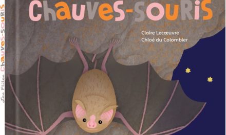 Image illustrant l'article chauves souris de La Cliothèque