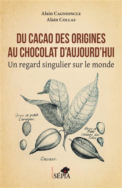 Du Cacao des origines au chocolat d’aujourd’hui – Un regard singulier sur le monde