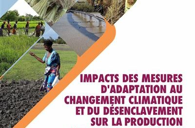 Image illustrant l'article Impacts-des-mesures-d-adaptation-au-changement-climatique-et-du-desenclavement-sur-la-production-agricole-en-Casamance de La Cliothèque