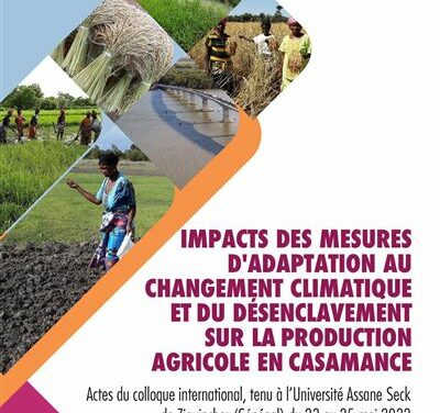 Impact des mesures d’adaptation au changement climatique et du désenclavement sur la production agricole en Casamance