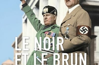 couverture Le Noir et le brun - Une histoire illustrée du fascisme et du nazisme 1918-1946