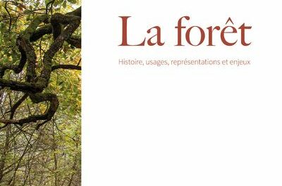 couverture La forêt - Histoire, usages, représentations et enjeux