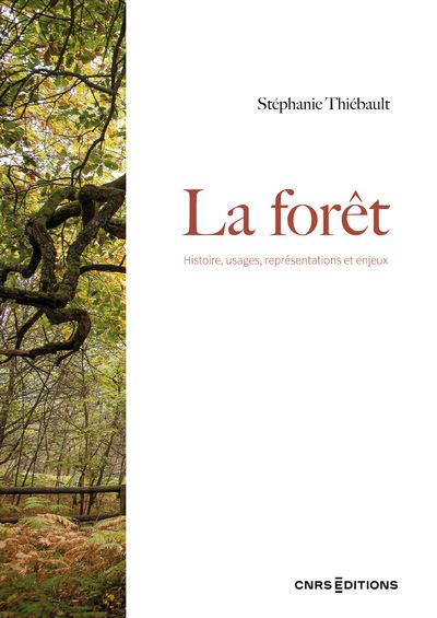 La forêt – Histoire, usages, représentations et enjeux