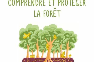 couverture Comprendre et protéger la forêt