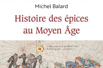 couverture Histoire des épices au Moyen-Âge