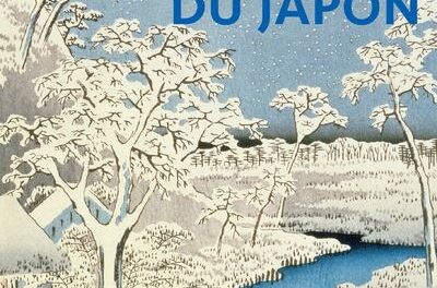 COUVERTURE Nouvelle histoire du Japon Pierre-François Souyri,