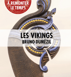 couverture Les Vikings