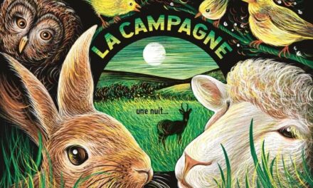 couverture la campagne, une nuit