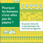 Pourquoi les bananes n’ont-elles pas de pépins?