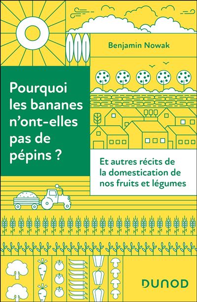 Pourquoi les bananes n’ont-elles pas de pépins?