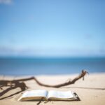 Veille Histoire juin 2025