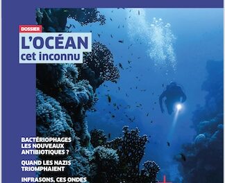 Image illustrant l'article  de La Cliothèque