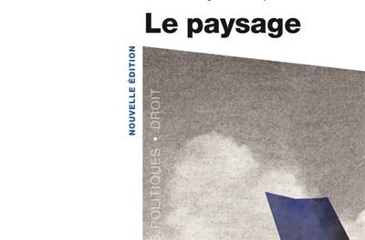 Image illustrant l'article Le-paysage de La Cliothèque
