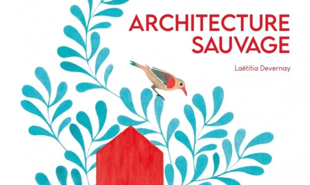 Architecture sauvage