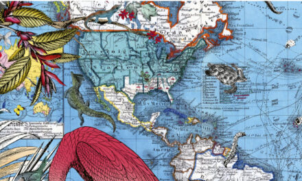 Image illustrant l'article GéoDicoCNRS de La Cliothèque