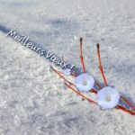 Veille histoire Janvier 2026