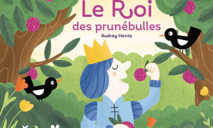 Couverture le roi des prunesbulles