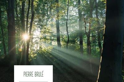 Image illustrant l'article Quatre-balades-en-religion-grecque de La Cliothèque