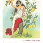 Les agrumes – Une délicieuse invention