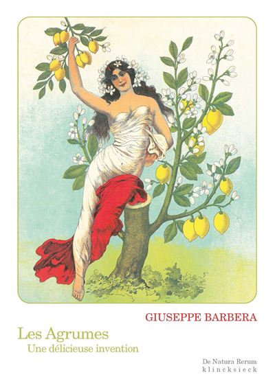 Les agrumes – Une délicieuse invention