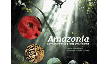 Amazonia – La vie au cœur de la forêt amazonienne